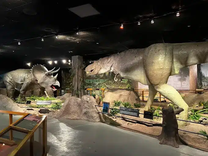 Las Vegas Natural History Museum Las Vegas Natural History Museum