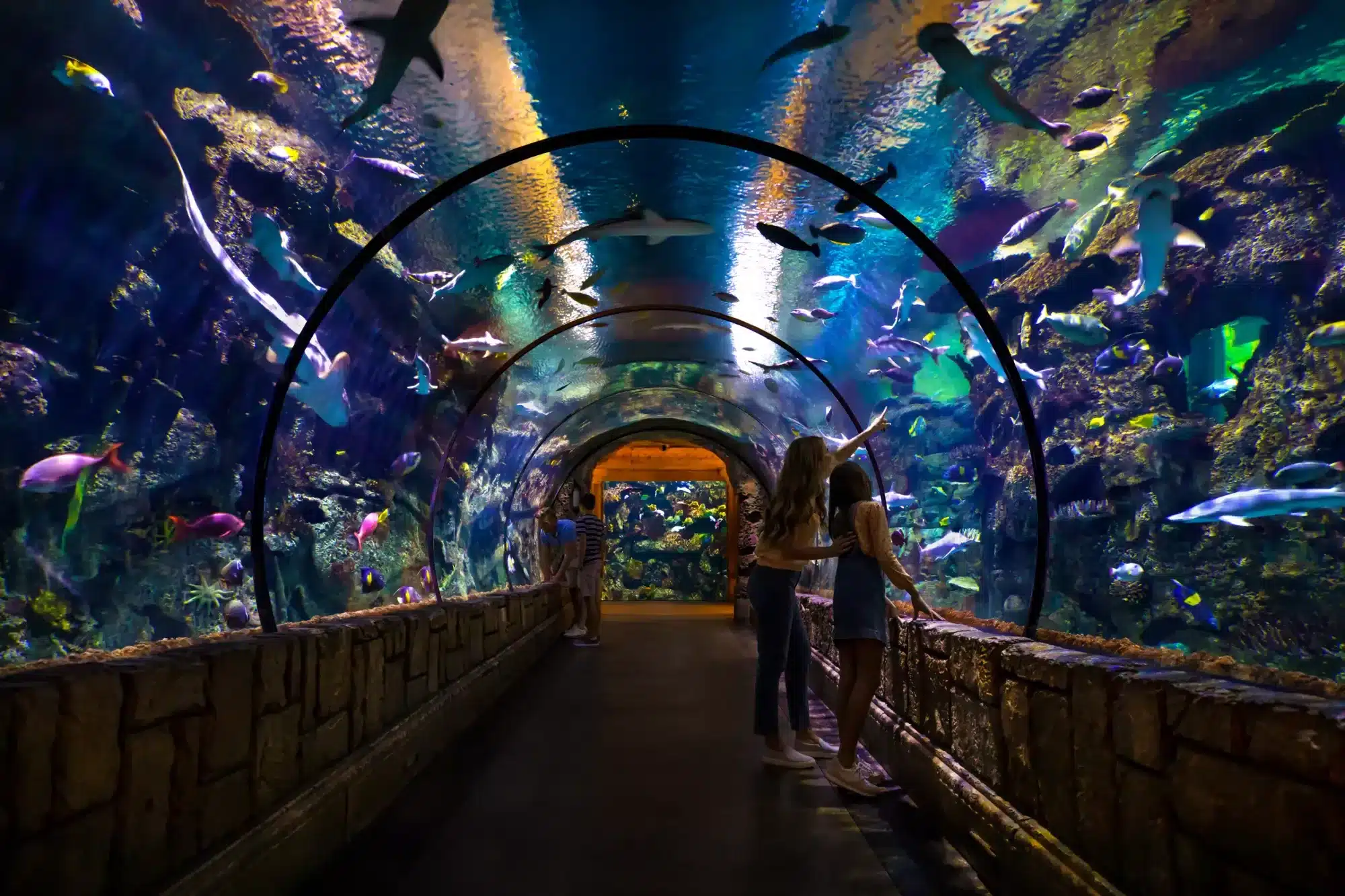 Shark Reef Aquarium at Mandalay Bay