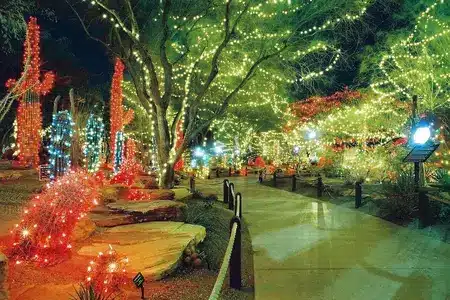 A nighttime view of a botanical garden pathway illuminated with numerous strings of colorful holiday lights wrapped around trees, cacti shaped into holiday figures, and other garden elements.