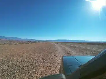 Overton Wildlife Management Area