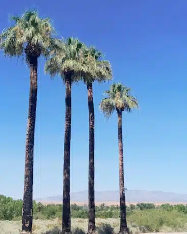 Warm Springs Natural Area