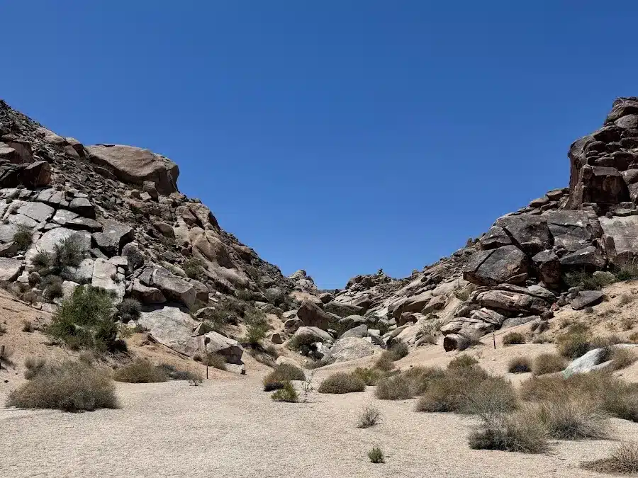 Grapevine Canyon
