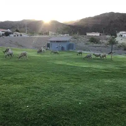 Hemenway Park Hemenway Park