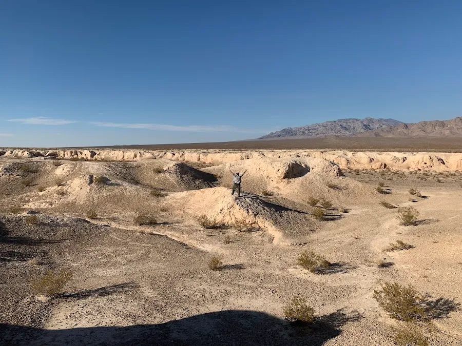 Tule Springs Fossil Beds National Monument