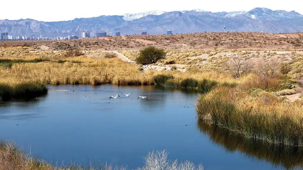 Clark County Wetlands Park