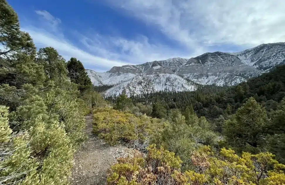 Mount Charleston Gateway