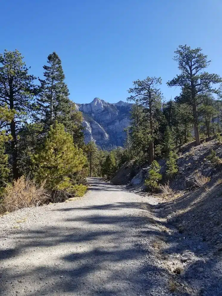 Spray Foam Insulation Contractor in Silverado Ranch