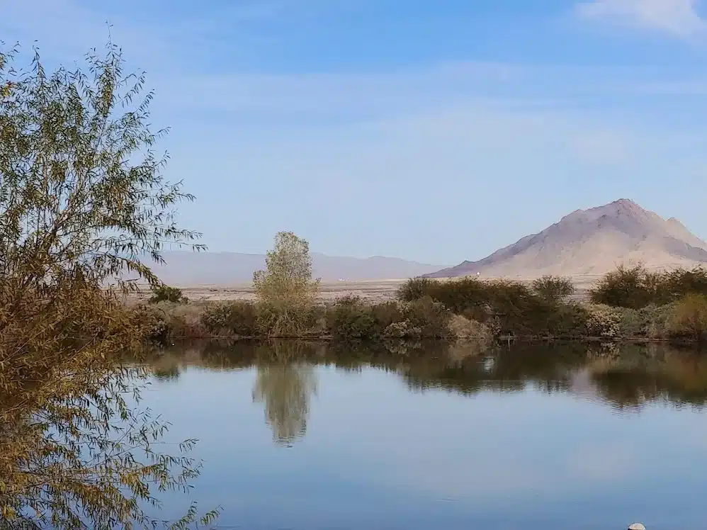 Henderson Bird Viewing Preserve