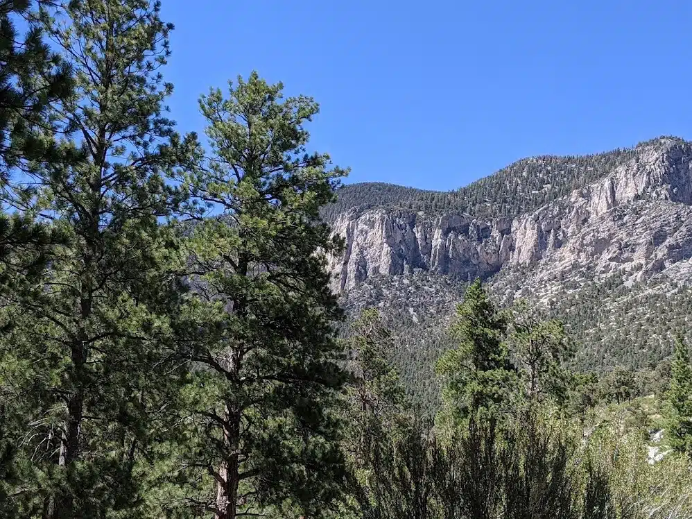 Kyle Canyon Picnic Area