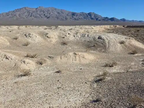 Tule Springs Fossil Beds National Monument