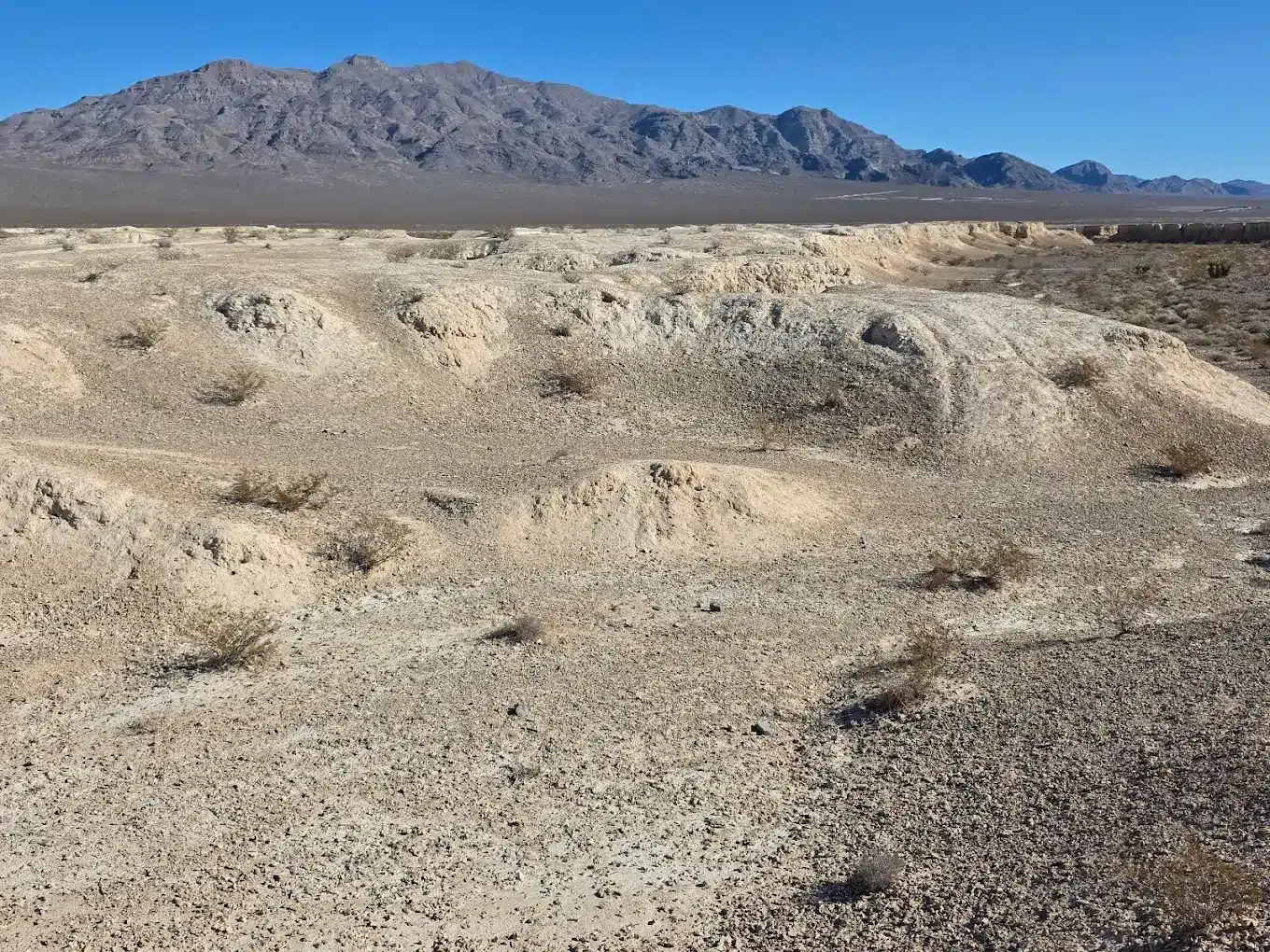 Tule Springs Fossil Beds National Monument