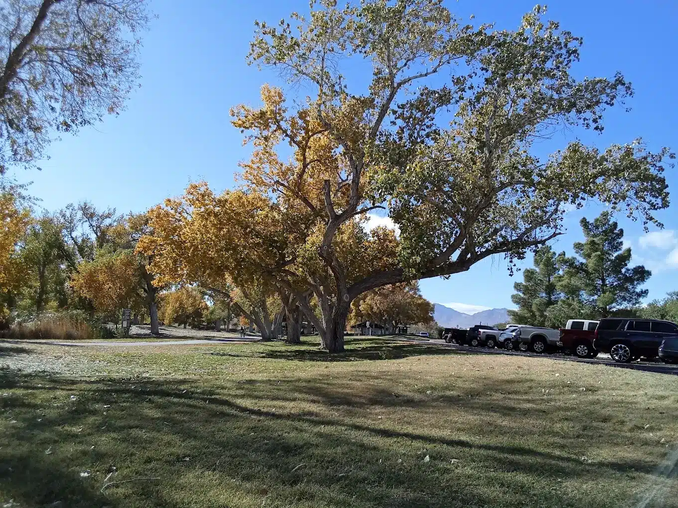 Tule Springs Park