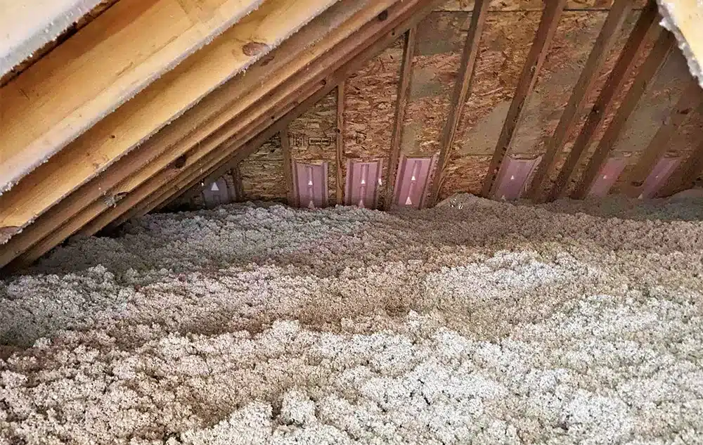 What Attic Insulation Looks Like in Desert Shores What Attic Insulation Looks Like in Desert Shores