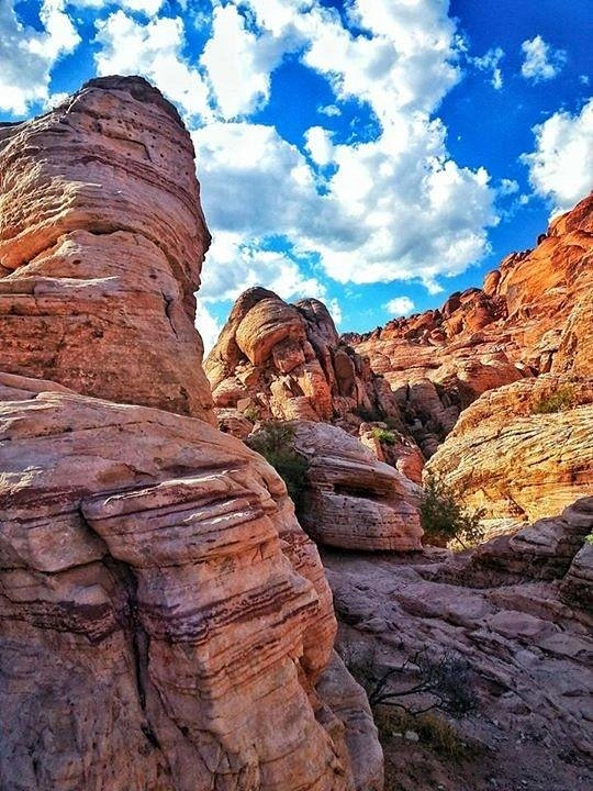Red Rock Canyon National Conservation Areas