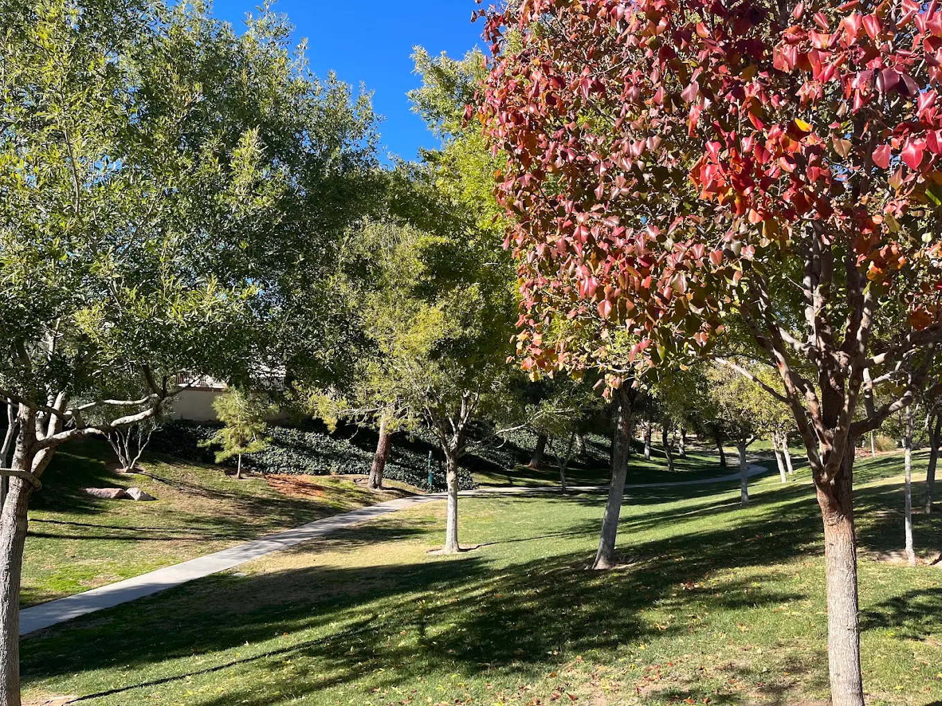 Peccole Ranch Walking Trail